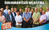 A FIDESZ-KDNP nyerte a választást Pest megyében